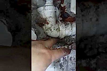 Alt kata su sızıyor pimaş borusunda pis su kaçağı tespiti - İstanbul Tesisat