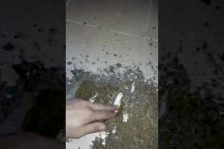 Alt komşunun tavanı sarardı su kaçağı nokta tespiti kırmadan tamir - İstanbul Tesisat