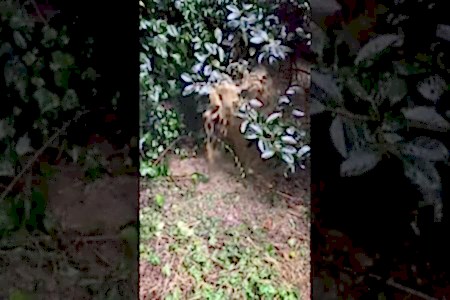 Bahçede su sızıntısı var toprak altı su kaçağı - İstanbul Tesisat