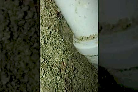 Banyodan Alt Kata Su Akıyor Duş Gideri Pis Su Kaçağı Tespiti - İstanbul Tesisat