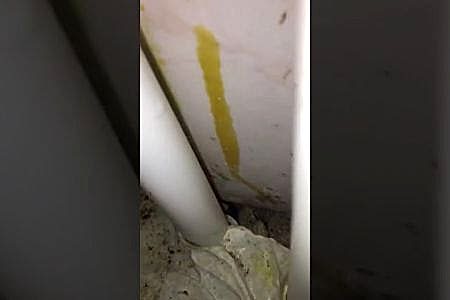 Çamaşır makinesi hortumu patladı alt kata su sızıyor ne yapmalı - İstanbul Tesisat