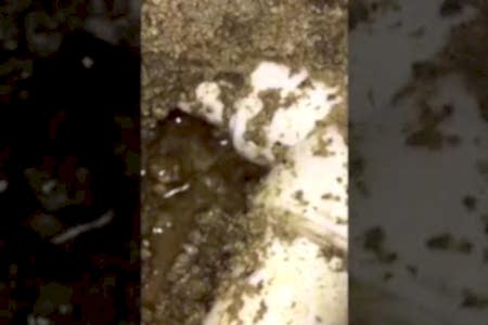 Kombi su eksiltiyor ve basınç düşüyor ne yapmalı - İstanbul Tesisat