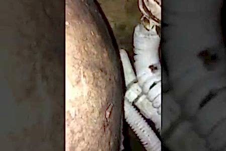 Küvet Altından Alt Kata Su Sızıyor Banyo Tavanı Damlıyor Çözümü - İstanbul Tesisat