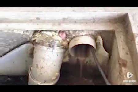 Mutfak Gideri Tıkandı Yağlanmış Pimaş Boru Temizleme ve Basınçlı Yıkama - İstanbul Tesisat