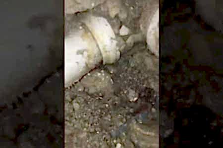 Pimaş boru su sızdırıyor kırmadan su kaçağı bulma - İstanbul Tesisat