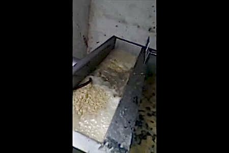 Pimaş boru tıkandı su gitmiyor tıkalı boru açma ve temizleme robotu - İstanbul Tesisat