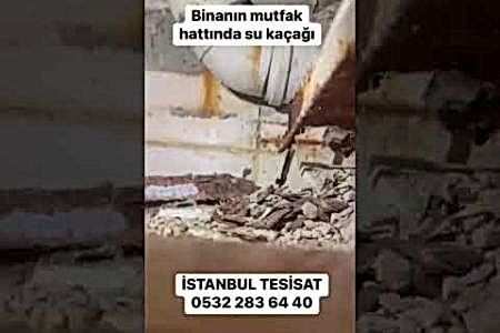 Şemsipaşa - Gaziosmanpaşa Alt Komşunun Tavanından Su Damlıyor Cihazla Tespit